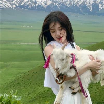 养狗与猫每天都很开心
