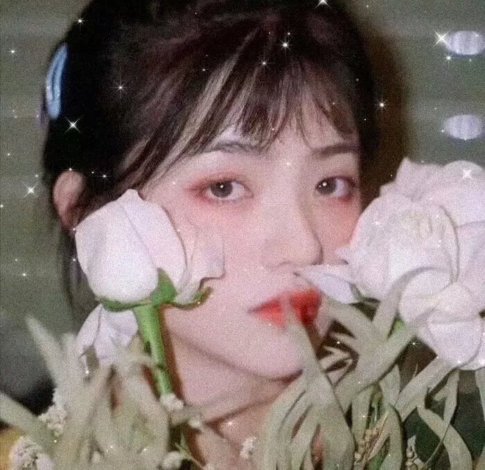 越夜越风骚